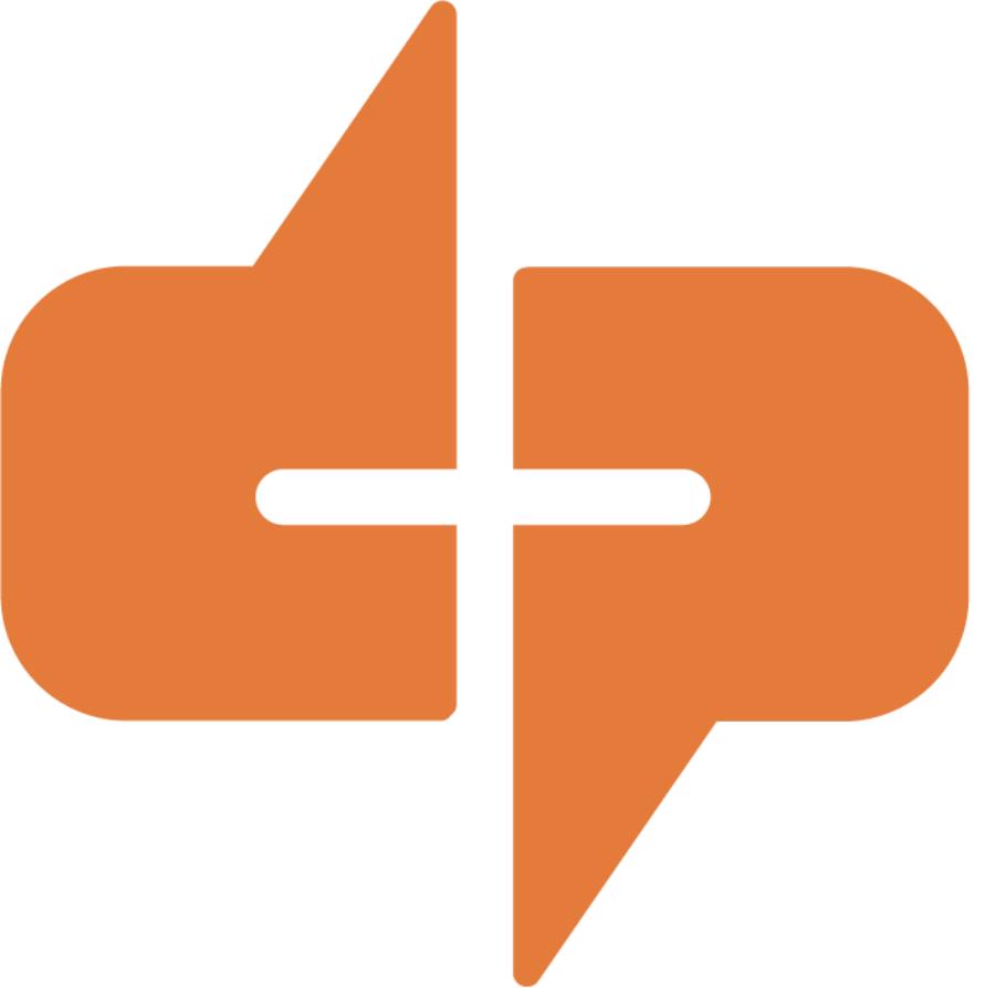 D+P logo