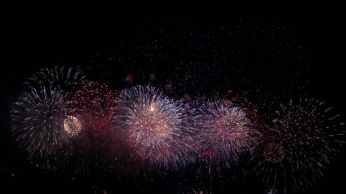 New Year, Continued Success: D+P Client Coverage and Content Highlights